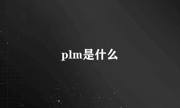 plm是什么