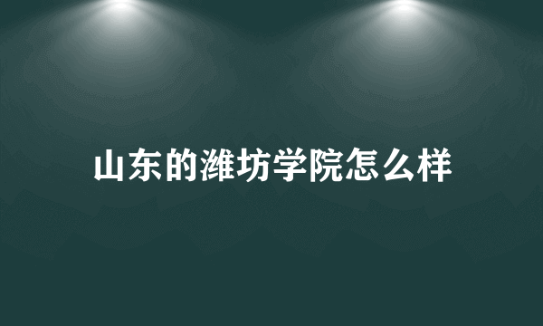 山东的潍坊学院怎么样