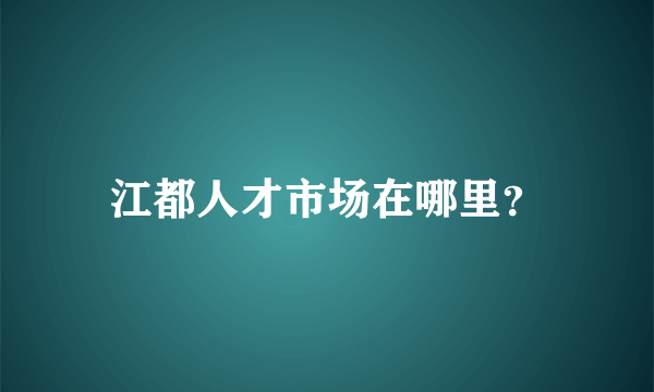 江都人才市场在哪里？