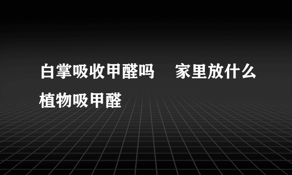 白掌吸收甲醛吗    家里放什么植物吸甲醛