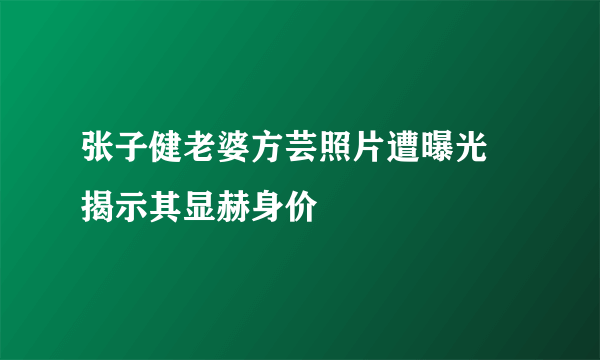 张子健老婆方芸照片遭曝光  揭示其显赫身价