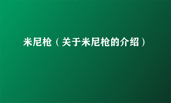 米尼枪（关于米尼枪的介绍）