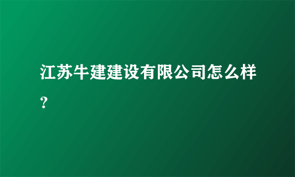 江苏牛建建设有限公司怎么样？