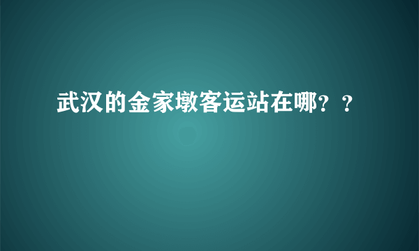 武汉的金家墩客运站在哪？？