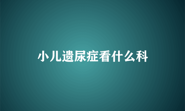 小儿遗尿症看什么科