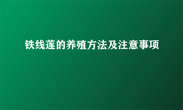 铁线莲的养殖方法及注意事项