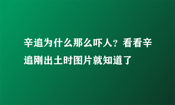 辛追为什么那么吓人？看看辛追刚出土时图片就知道了