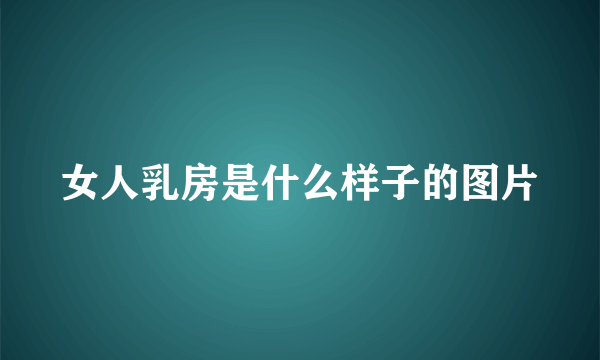 女人乳房是什么样子的图片