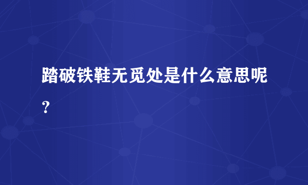 踏破铁鞋无觅处是什么意思呢？