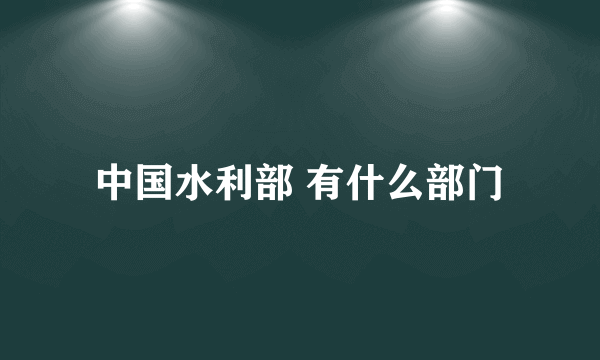 中国水利部 有什么部门