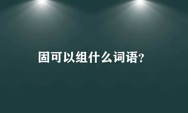 固可以组什么词语？