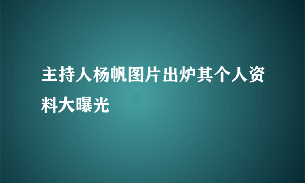 主持人杨帆图片出炉其个人资料大曝光