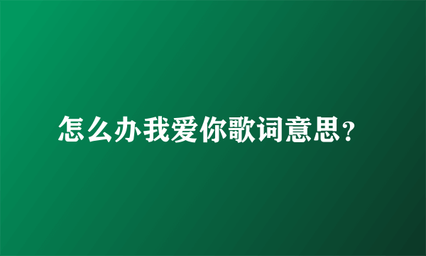 怎么办我爱你歌词意思？