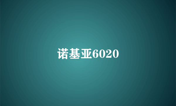 诺基亚6020