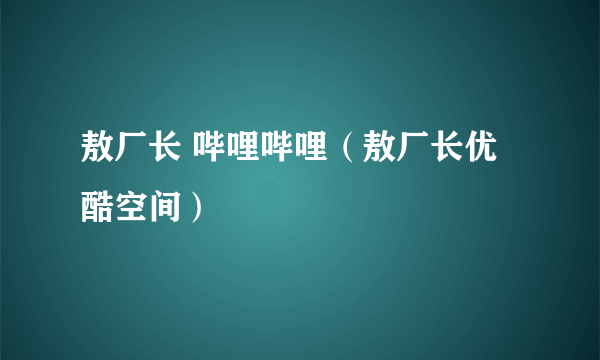 敖厂长 哔哩哔哩（敖厂长优酷空间）