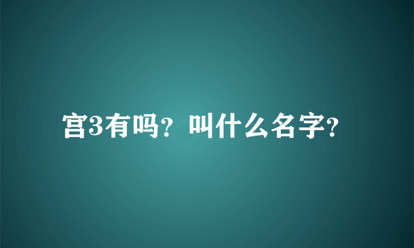 宫3有吗？叫什么名字？