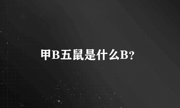 甲B五鼠是什么B？