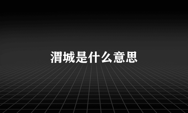 渭城是什么意思