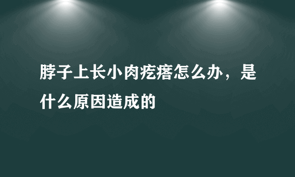 脖子上长小肉疙瘩怎么办，是什么原因造成的