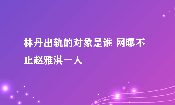 林丹出轨的对象是谁 网曝不止赵雅淇一人