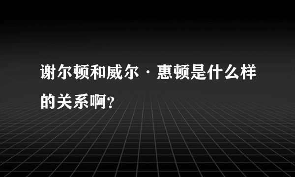 谢尔顿和威尔·惠顿是什么样的关系啊？