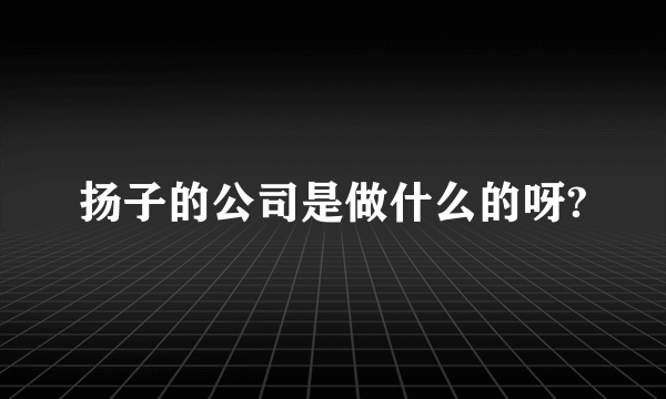 扬子的公司是做什么的呀?