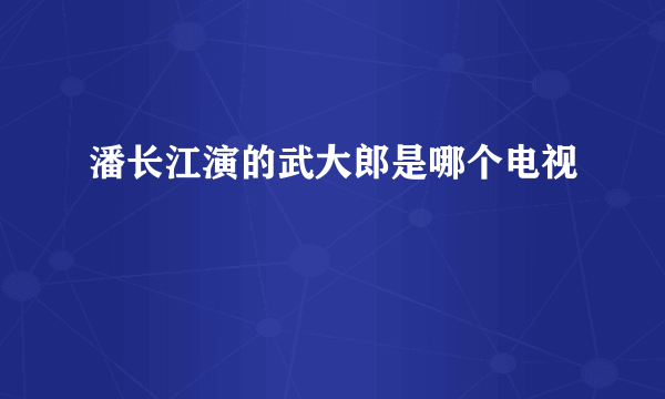 潘长江演的武大郎是哪个电视