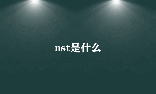 nst是什么