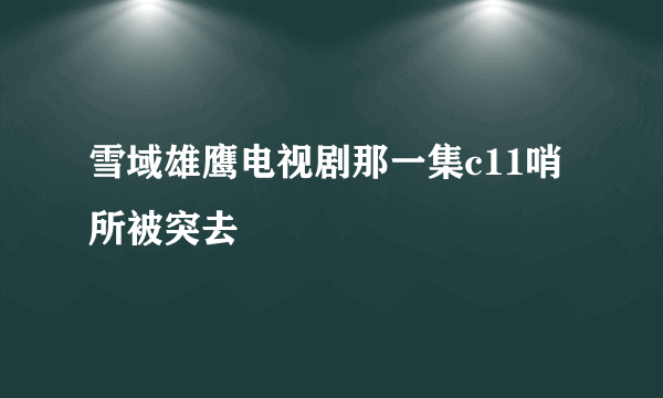 雪域雄鹰电视剧那一集c11哨所被突去