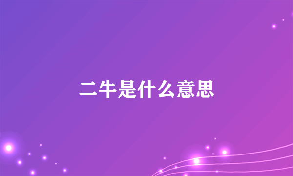 二牛是什么意思