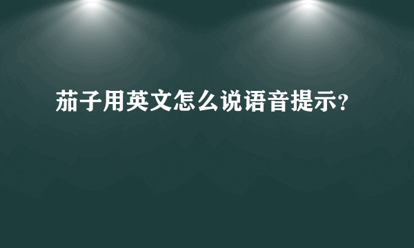 茄子用英文怎么说语音提示？