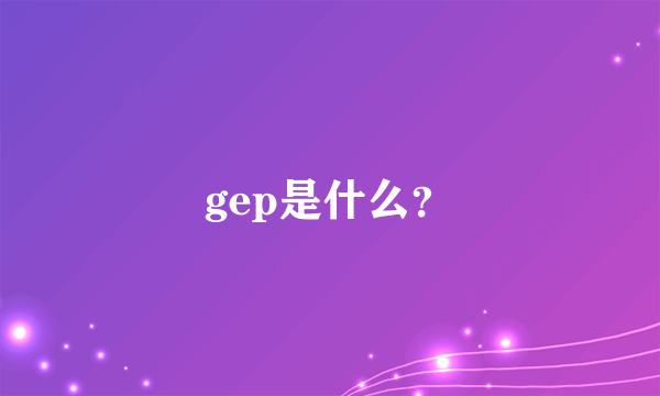 gep是什么？