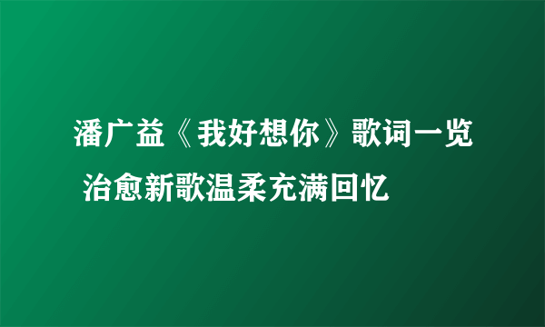 潘广益《我好想你》歌词一览 治愈新歌温柔充满回忆