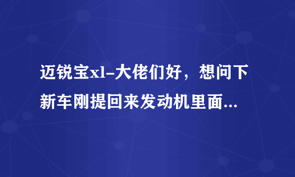 迈锐宝xl-大佬们好，想问下新车刚提回来发动机里面有股很浓的塑料味散发出来，这是什么情况？