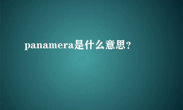 panamera是什么意思？