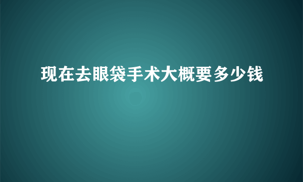 现在去眼袋手术大概要多少钱