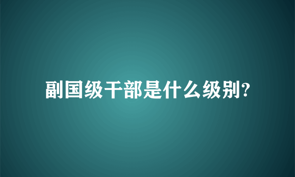 副国级干部是什么级别?