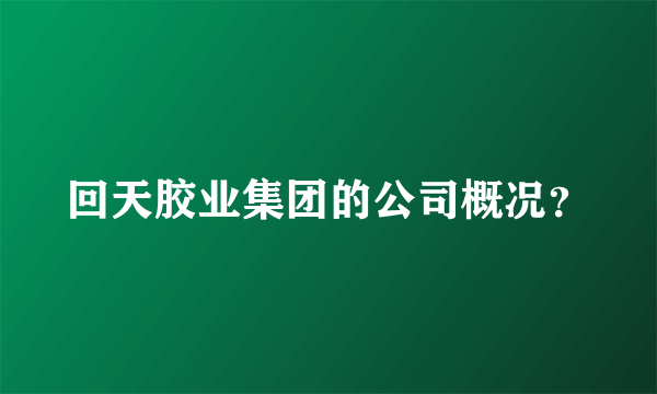 回天胶业集团的公司概况？