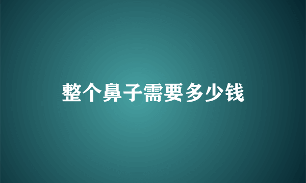 整个鼻子需要多少钱