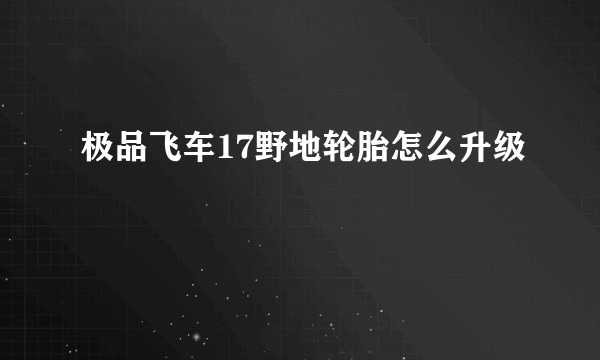 极品飞车17野地轮胎怎么升级