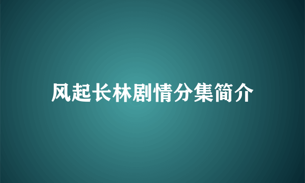 风起长林剧情分集简介