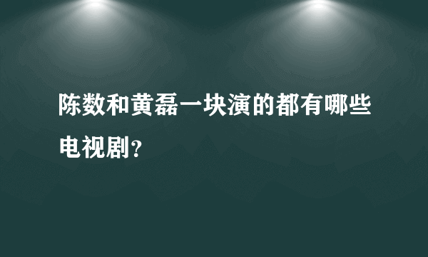 陈数和黄磊一块演的都有哪些电视剧？