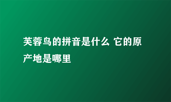 芙蓉鸟的拼音是什么 它的原产地是哪里