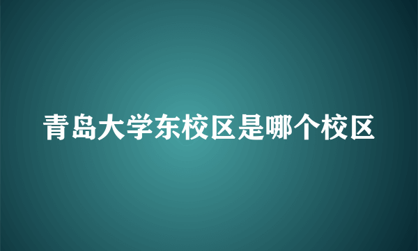 青岛大学东校区是哪个校区