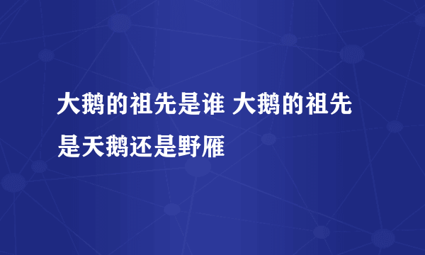 大鹅的祖先是谁 大鹅的祖先是天鹅还是野雁