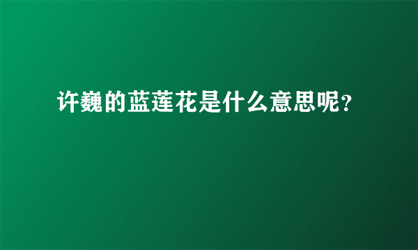 许巍的蓝莲花是什么意思呢？