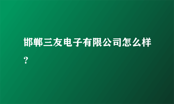 邯郸三友电子有限公司怎么样？