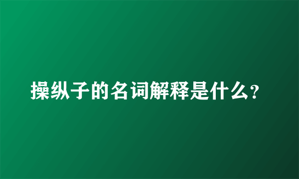 操纵子的名词解释是什么？