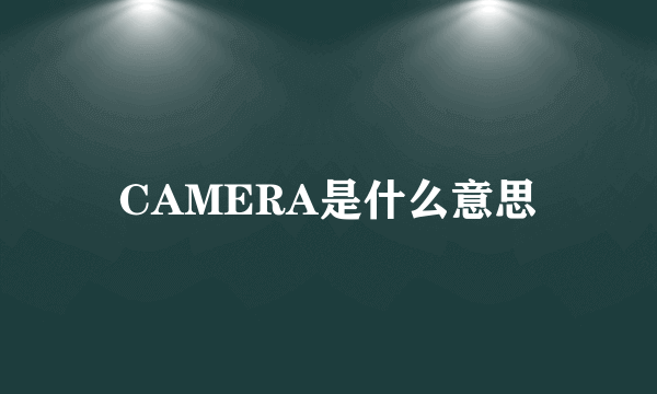 CAMERA是什么意思