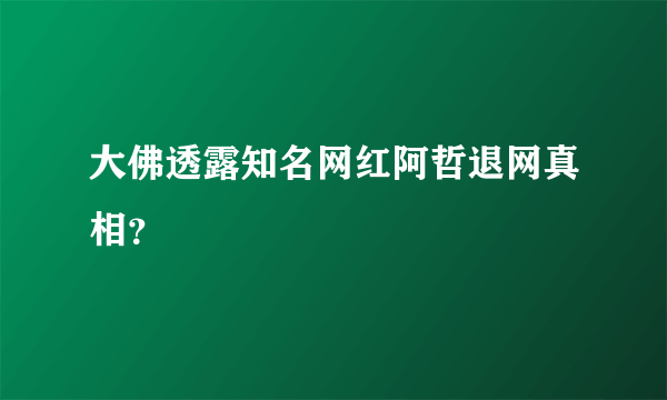 大佛透露知名网红阿哲退网真相？